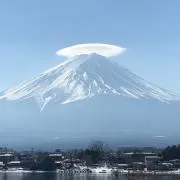 オヤカタの画像
