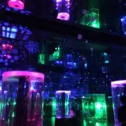 ひらの画像
