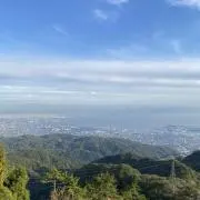 あおの画像