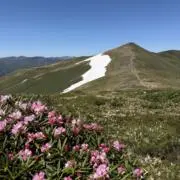 みきの画像