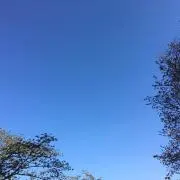 むー