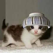 どろずの画像