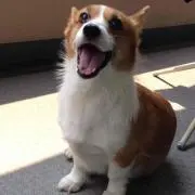 くるくるの画像