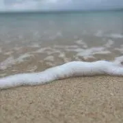 たっかおの画像
