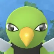 あらの画像