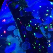 horaの画像