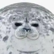 みそりん