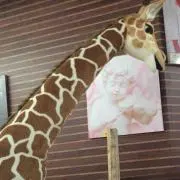 あるまじろ