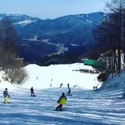 ちびの画像