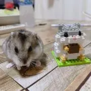 ままちゃん