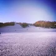 RKKNNの画像