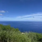 373の画像
