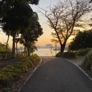 さくの画像