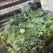 あず。の画像