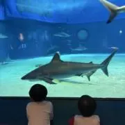 とっち