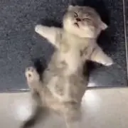 ミラ 購入前にコメお願いします。の画像