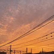 sxukgki0wv819eesu3uhの画像