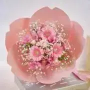 sakuraの画像