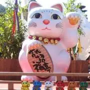 ことりの画像