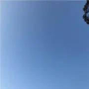 aaa