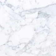 Tᵕ̈*の画像