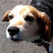 nonoの画像