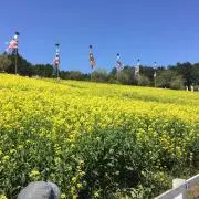 まさし