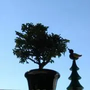 なおペコ