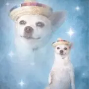 Mary Janeの画像