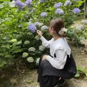 みの画像