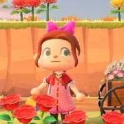umの画像