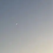 C（プロフィールご確認お願いします）の画像