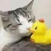 chanbooの画像