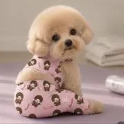 セレちゃんの画像