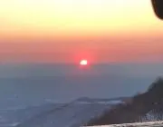 岩見さんの画像