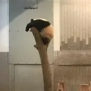 青空の画像
