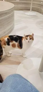 るみてぃ☆まとめ割引ありますの画像