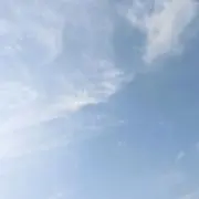 ayaの画像