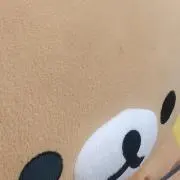 カイトの画像