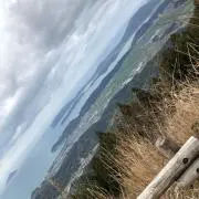 コハタカの画像