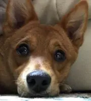 maggief1