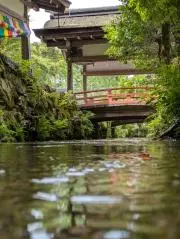 春夏の画像