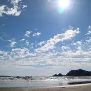 N.の画像