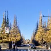 NickJagureの画像
