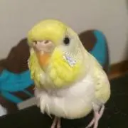ごまめの断捨離☆