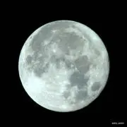コロ