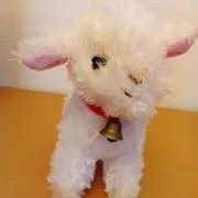 gaboの画像