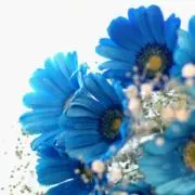 ベルの画像