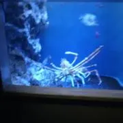 miチャ★いっぱいガンバリます