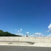 ひまわりの画像